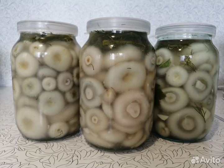 Грузди соленые вкусные