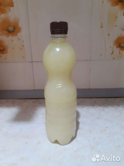 Жир байбака(сурка)