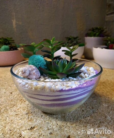 Цветочная композиция из суккулентов