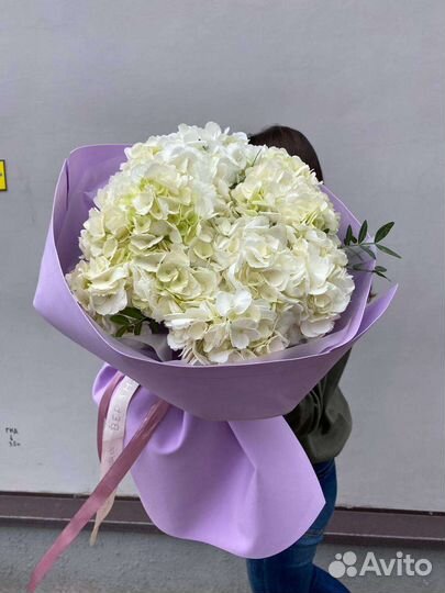 Моно гортензии