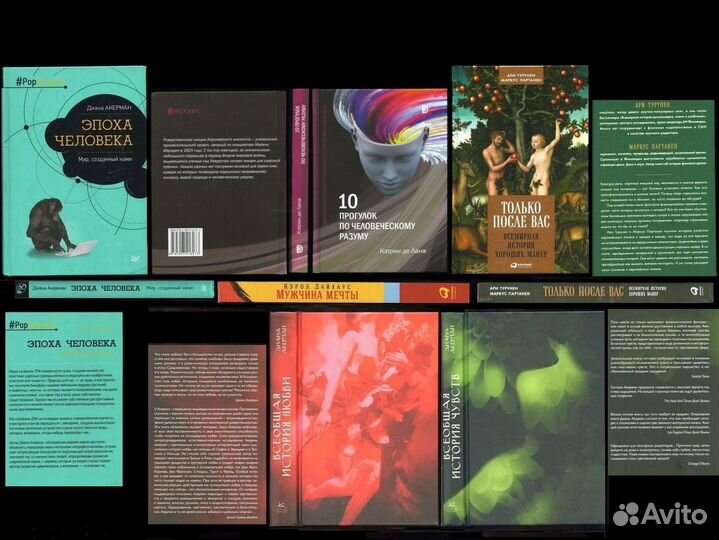 Гроф Берн Шелер Зойя / пр. психология