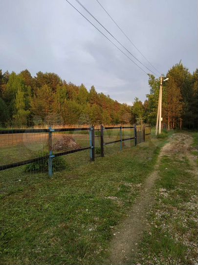 Участок 6 сот. (СНТ, ДНП)