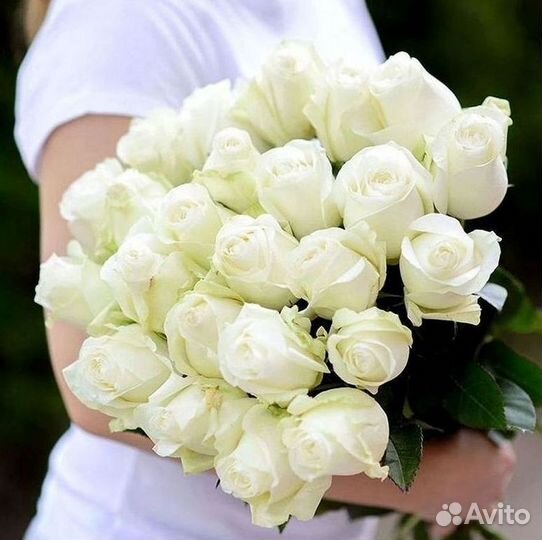 Высокие розы Гигантские розы Доставка цветов