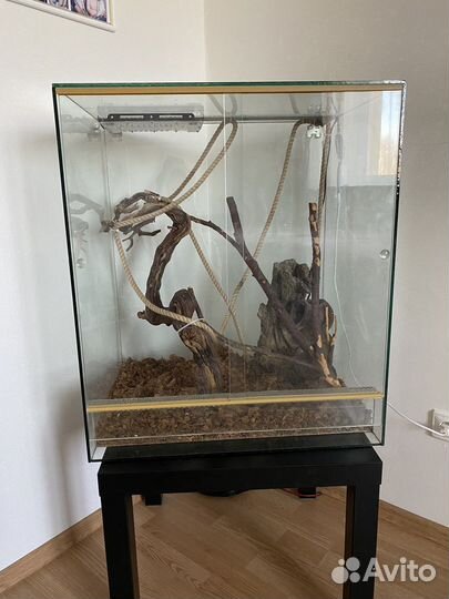 Террариум для хамелеона