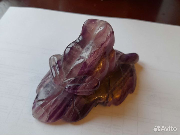 Лягушка в коллекцию