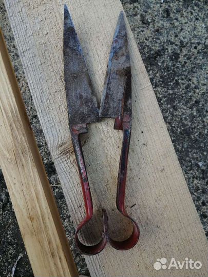 Ножницы для стрижки овец