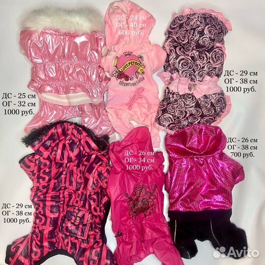 Комбинезон, куртка, одежда для маленьких собак