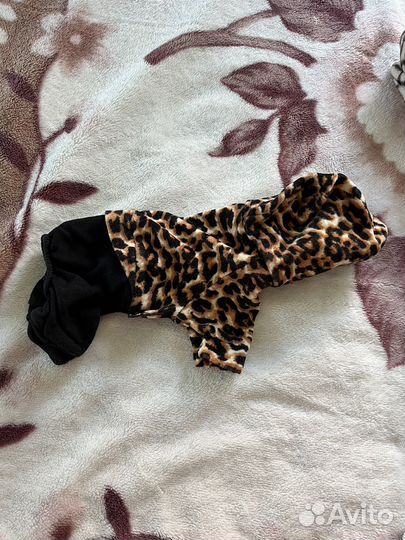 Одежда для маленьких собак