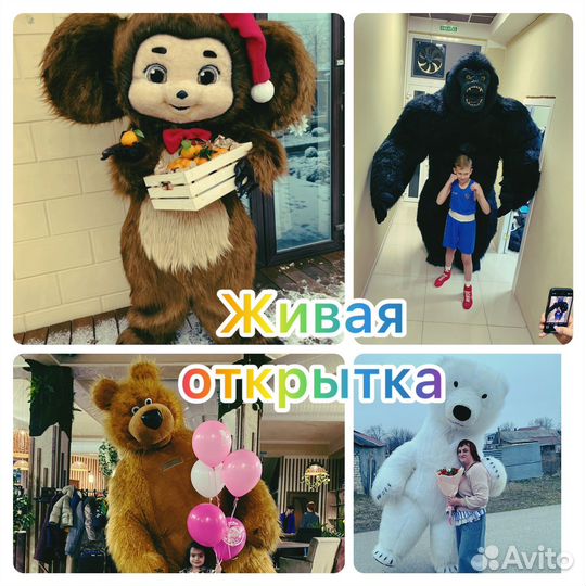 Живая открытка