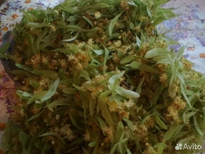 Липовый цвет