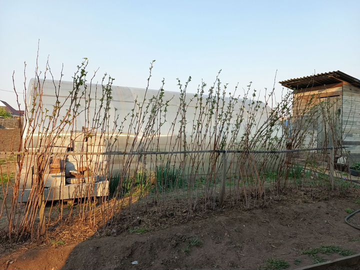 Дом 69,5 м² на участке 15 сот.