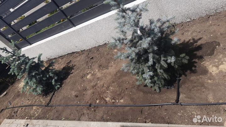 Монтаж автополива под ключ