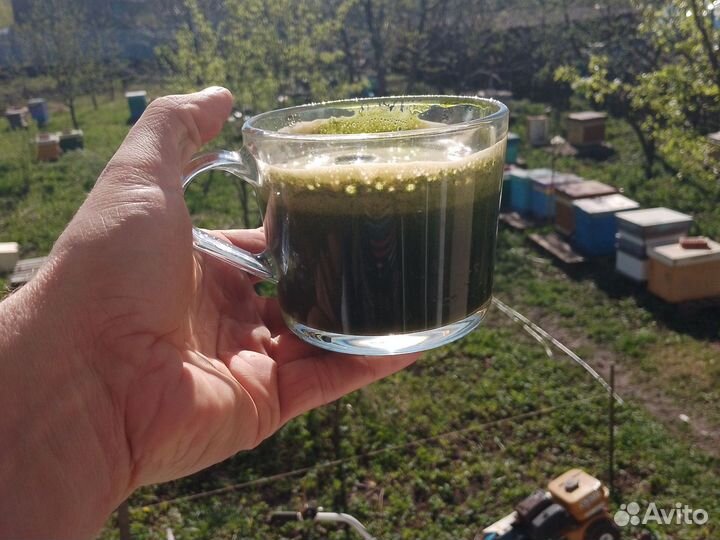 Сок одуванчика, крапивы, чистотела, лопуха