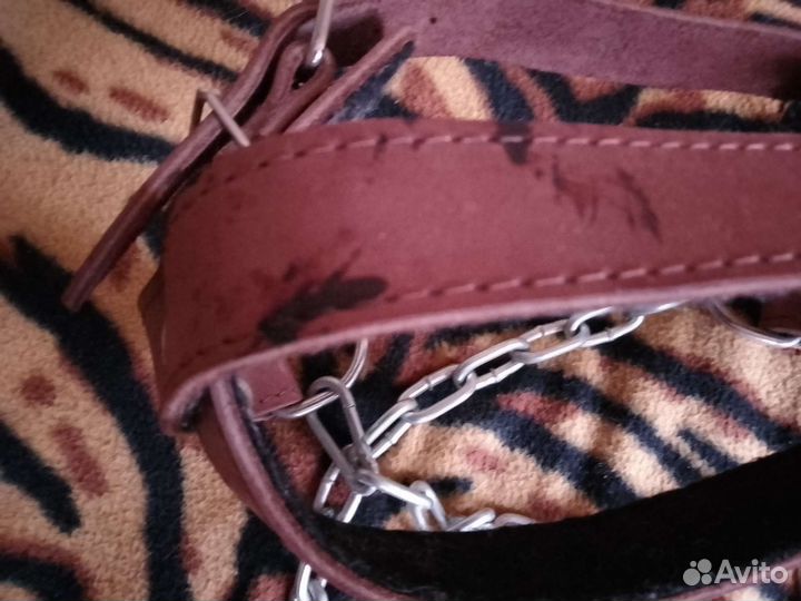 Ошейник кожаный с цепью для крупных собак