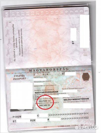 Получение, замена истекшего паспорта Венгрии