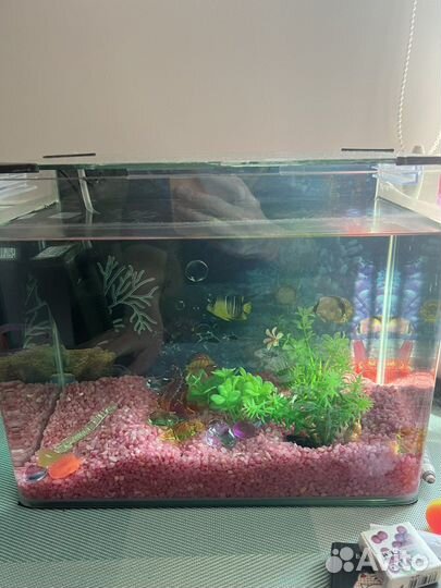 Аквариум