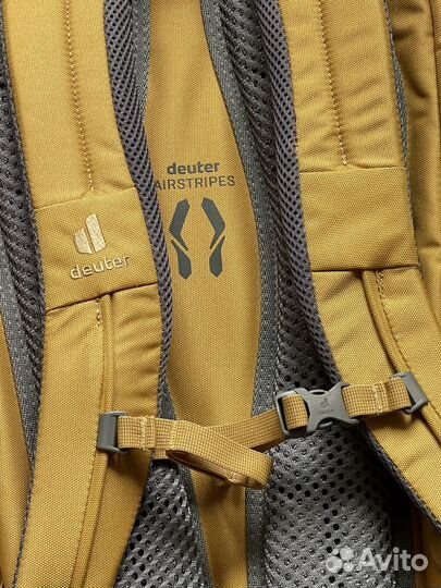 Рюкзак Deuter gogo Chestnut-Umbra