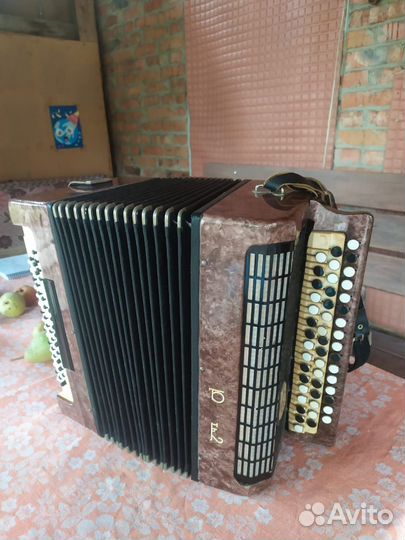 Баян юность-2