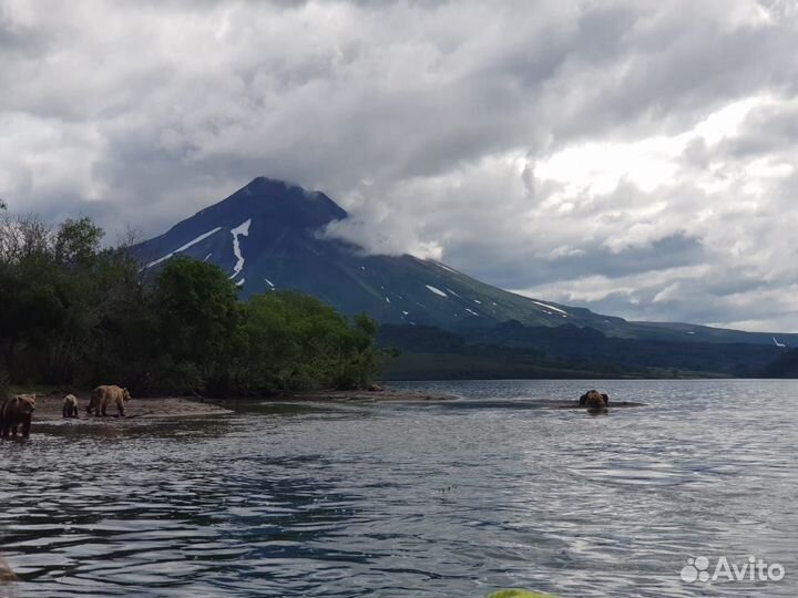 Экспедиция 