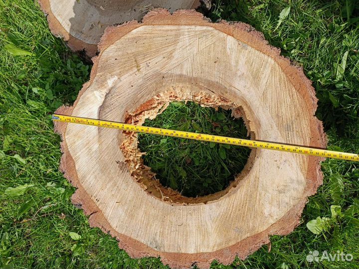 Спилы березы, слэбы