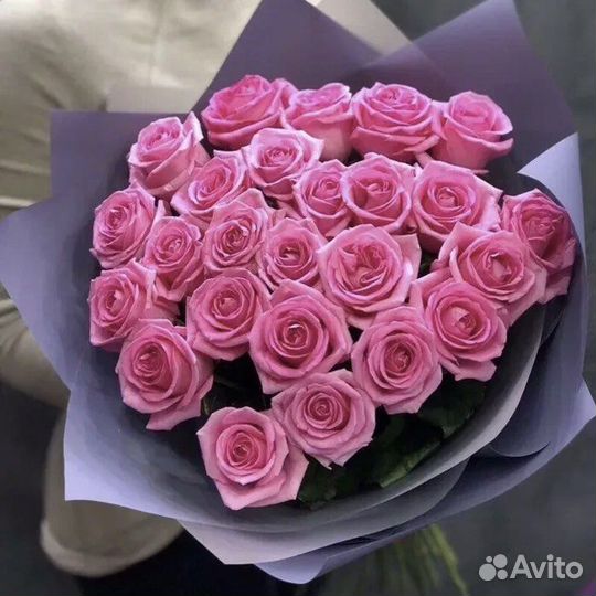 Букет из Розовой Розы 25шт с Доставкой