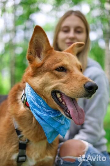 Модуса выкинули, парень очень ждет семью