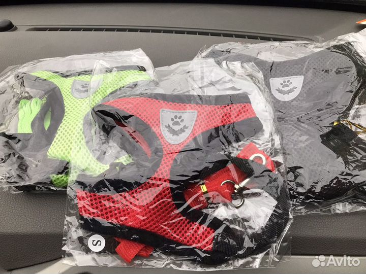 Шлейка с поводком для кошек и маленьких собак