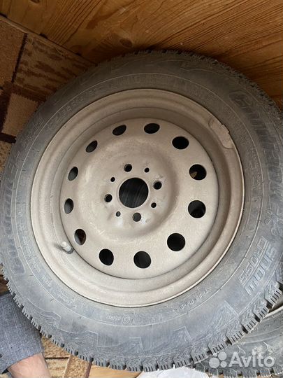 Nordman 5 175/70 R14