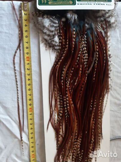 Перья австралийского петуха