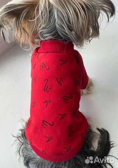 Одежда Для животных