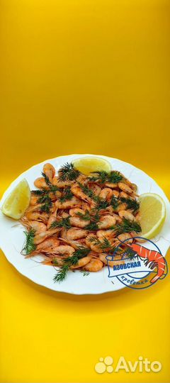 Креветка Усик Premium