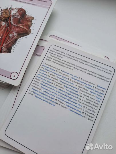 Карточки анатомия человека цена в описании