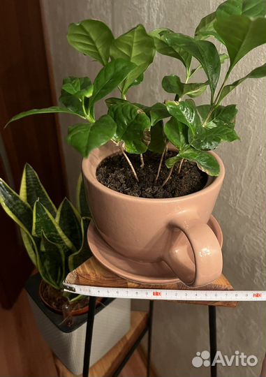 Подставка для цветов лофт