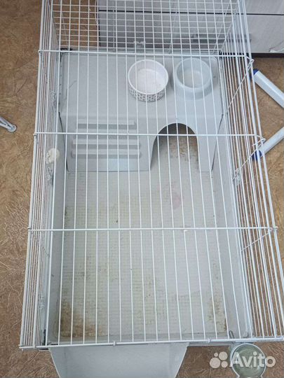 Клетки для кроликов