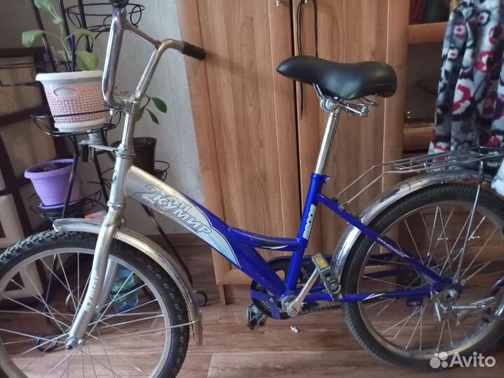 Спорт и хобби