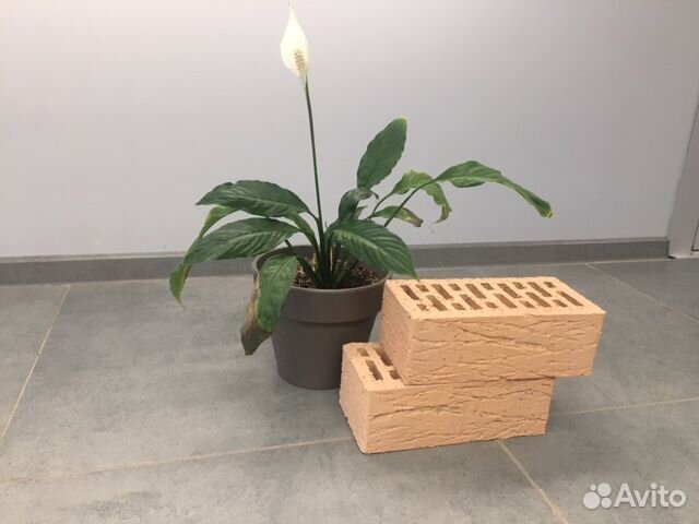 Лицевой кирпич Крем 