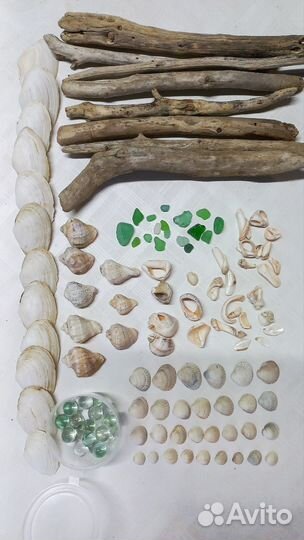 Дрифтвуд большой набор с ракушками морскими