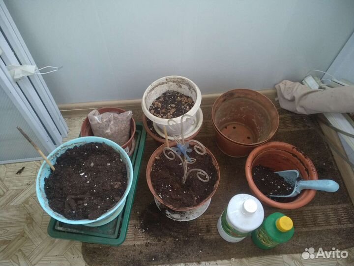 Горшки для цветов, удобрения