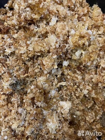 Забрусовый мёд