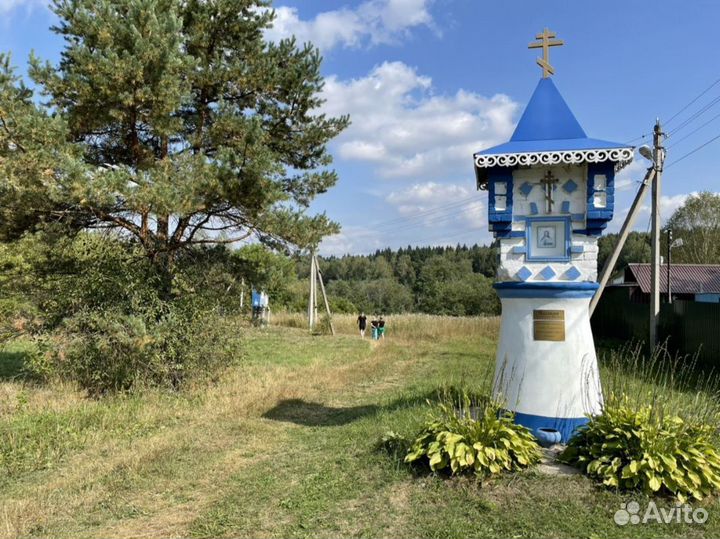 Отдых на природе фотосессия в русских