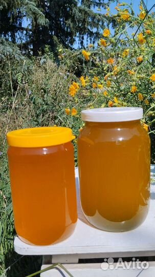 Мед пчелиный