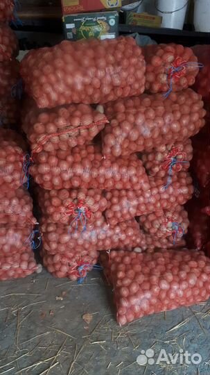 Продам картофель