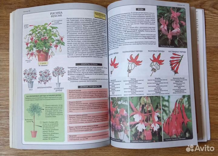 Д-р Д.Г. Хессайон. Все о комнатных растениях