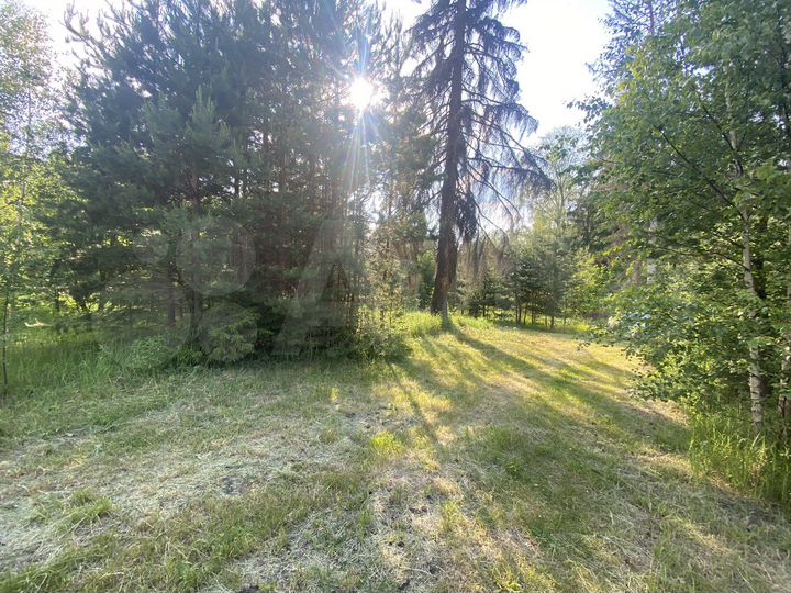 Участок 12,5 сот. (ИЖС)