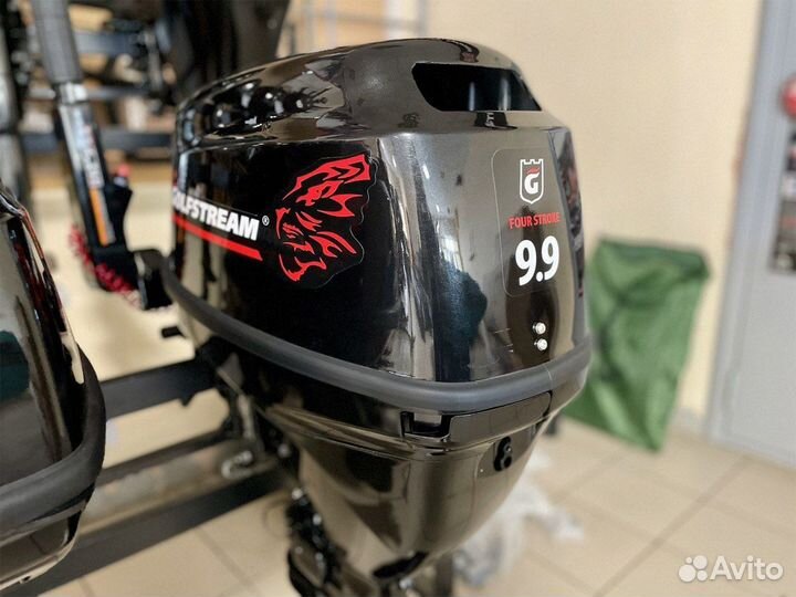 Лодочный мотор Golfstream F 9.9 BMS витринный