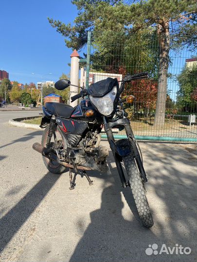 Alpha RF11 pro sport