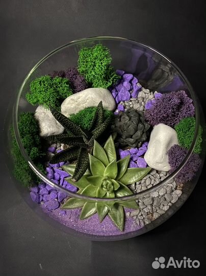 Флорариум лаванда