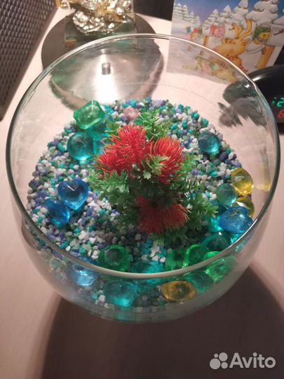 Стеклянный круглый мини аквариум для рыб, 3 литра