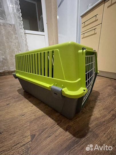 Переноска в аренду