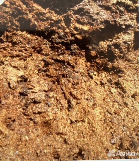 Конский навоз